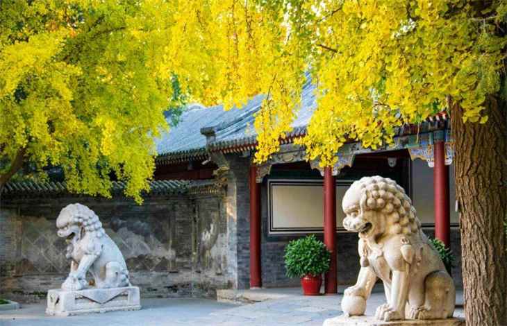 微信头像用什么最好最吉利(微信头像推荐吉利的、招财的、福寿的中华传统好寓意图片)