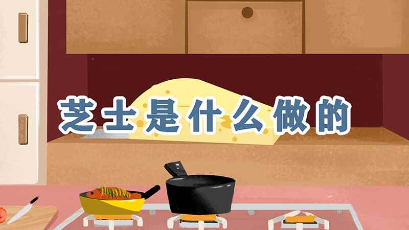 芝士是什么材料做的