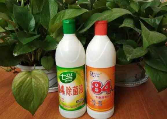 含氯消毒液是不是84(84消毒液的作用与功效)