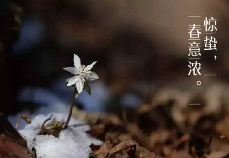 惊蛰是几点几分(2022年惊蛰节气时间是公历)