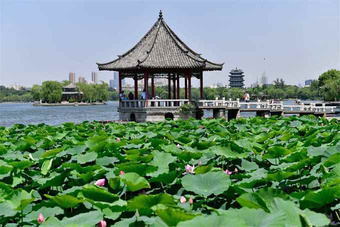 大明湖在哪里个城市(山东省济南市区湖泊、济南三大历史名胜之一)