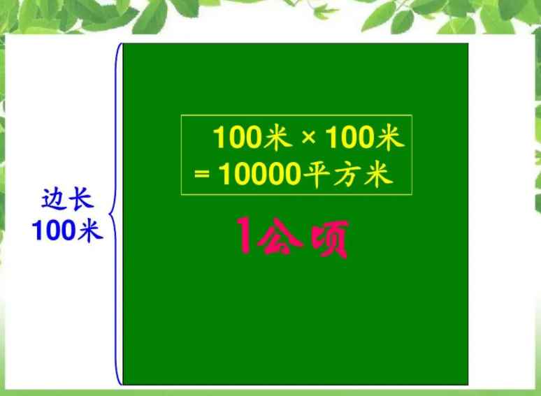 公顷单位是ha还是hm2(农业生产技术的一个重大进步便是垄作的出现)