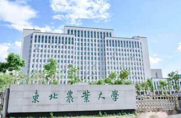东北农业大学是不是211大学(东北农业大学是211大学吗)