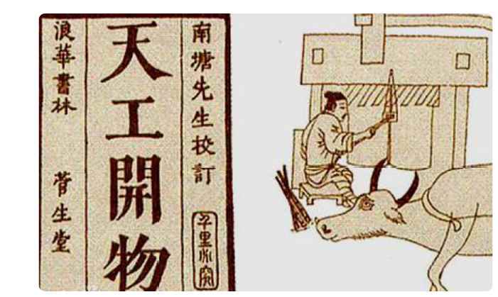 芥末是什么植物(日本人食用的是山)