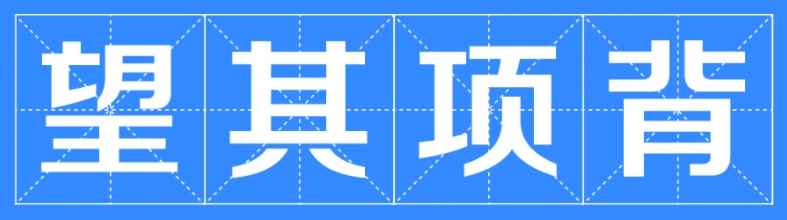 望其项背(望其项背,汉语成语,拼音)