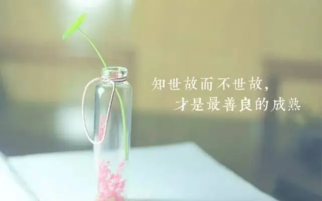 知世故而不世故是什么意思?