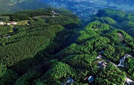 四川宜宾是不是地震带(宜宾处于华蓥山地震带系统)