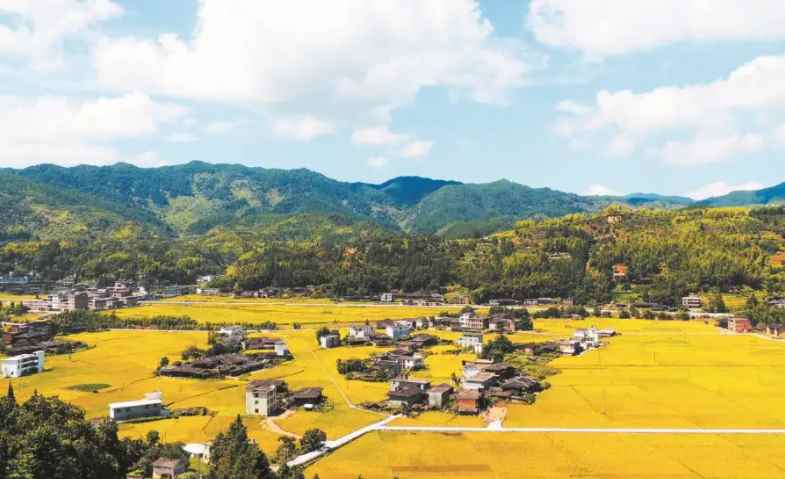 虹桥在哪个区(上海虹桥属于闵行区吗)