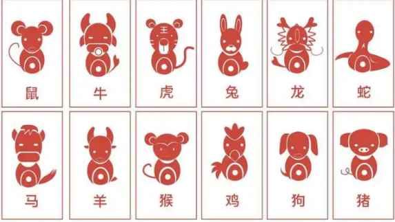 云肖是哪几个生肖呢（十二生肖包括鼠、牛、虎、兔、龙、蛇、马、羊、猴、鸡、狗、猪）