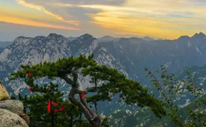 西岳指的什么山(华山从古一条道,看着就足够吓人,也让无数人来到这里只为感受这)