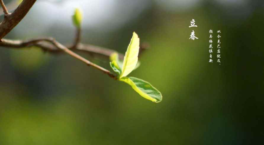 什么时候立春
