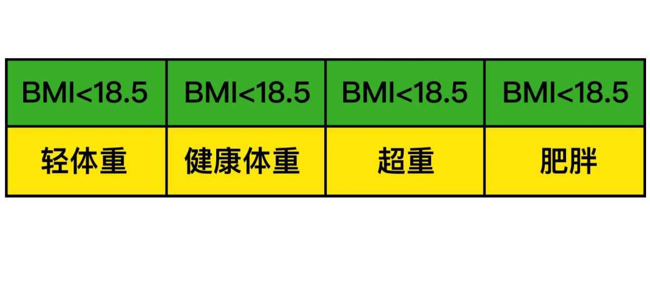 bim怎么算