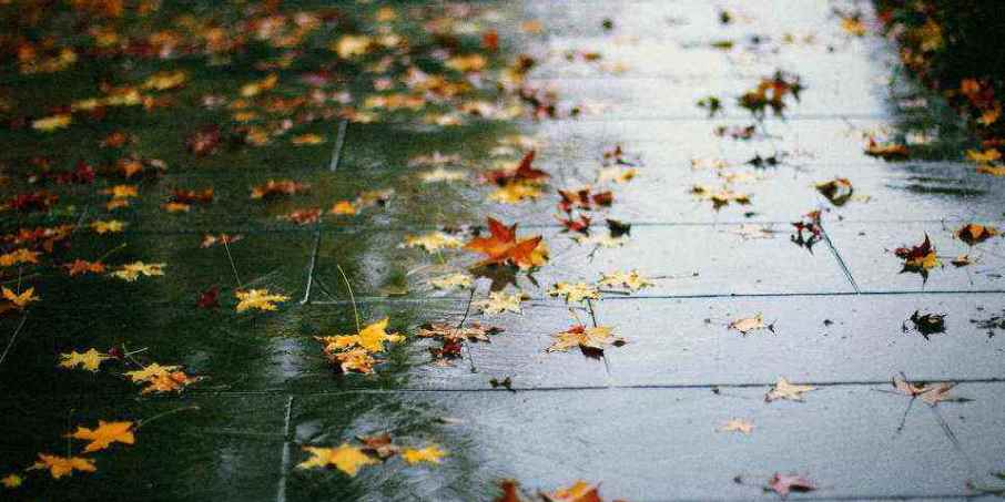 一场秋雨一场寒的下一句是什么(意思整句话是谚语,不是整首诗)