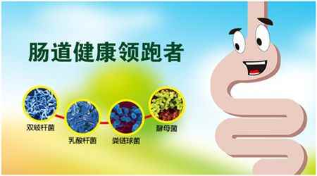 人肠子有多长多少米