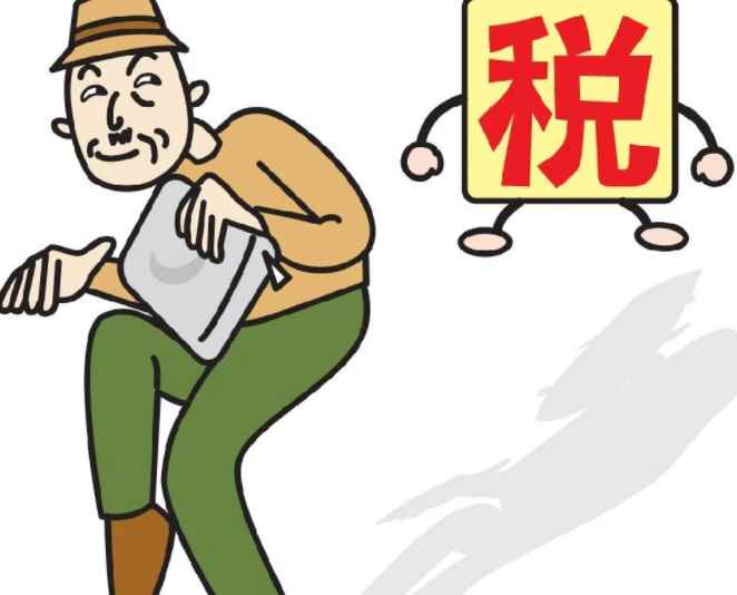 逃税是什么意思