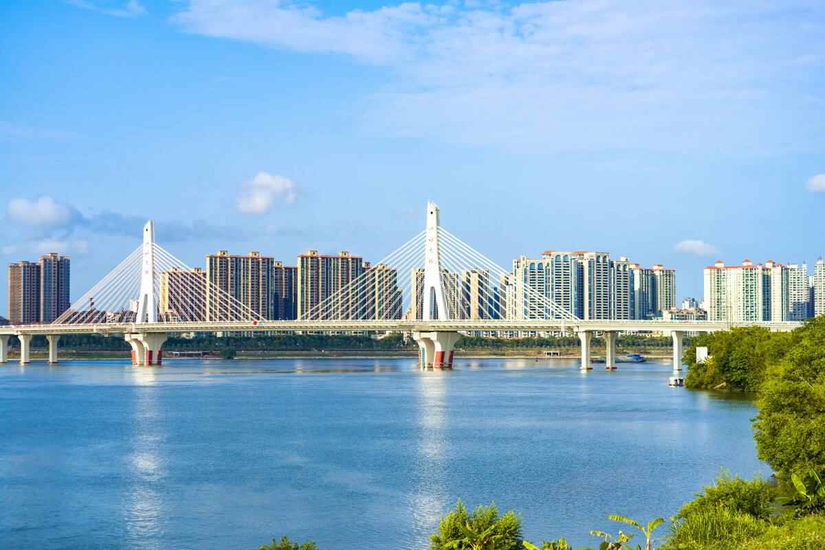 广东最大的城市是哪个城市(深圳总面积不到1997平方公里,可能仅凭一个数据,你无法想象)