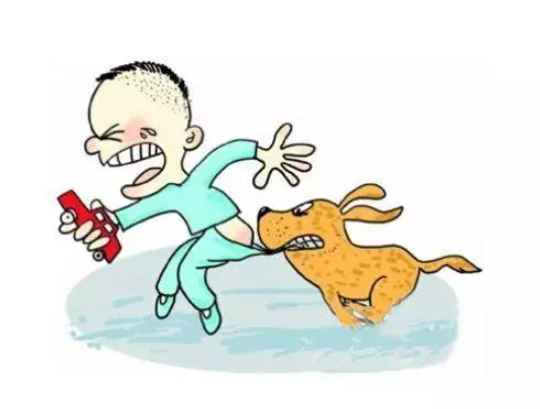 被狗咬了不打针有事吗