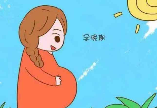 42周是几个月(怀孕十个月是多少天)