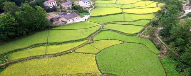 一公顷是多少亩地(中国规定的土地面积单位(国际单位))