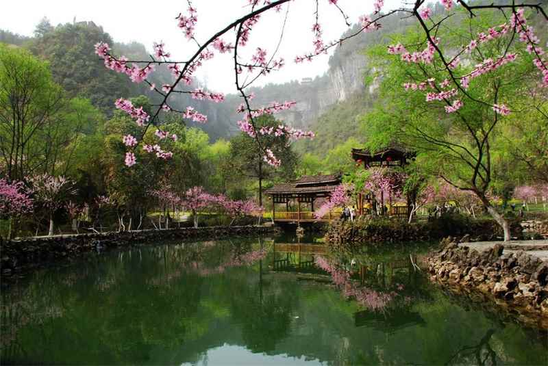 桃花洞(桃匾桃拼音binto匾桃的解释)