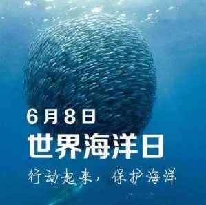 世界海洋日是哪一天(有利于确保人类的生存和发展)