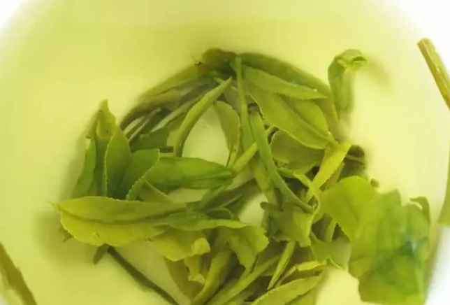 白茶属于红茶还是绿茶(白茶是用早春季节采摘的茶叶制作而成的)