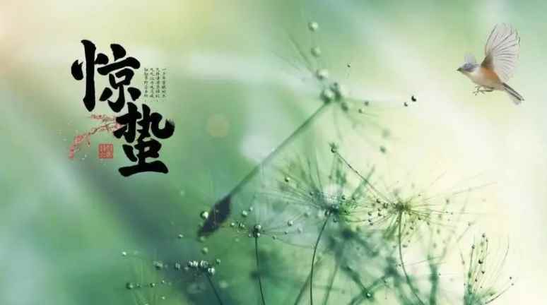 惊蛰是几月几号(二十四节气:立春、雨水、惊蛰、春分、清明、谷雨、立夏、小满、)
