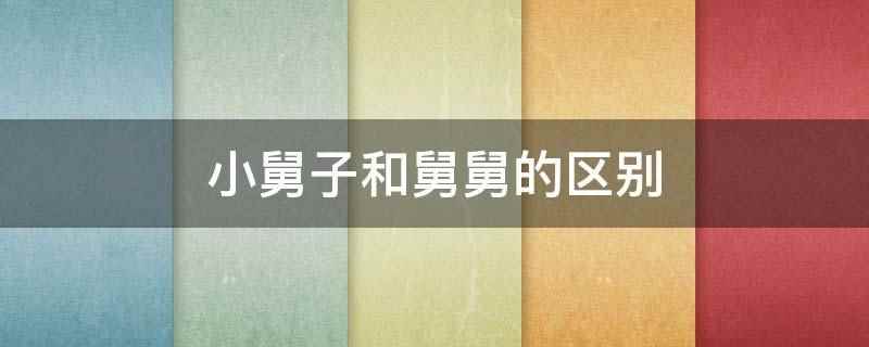 小舅子和舅舅的区别(家庭称谓与书面的称谓有相同之处,根据辈分沿袭而固定成各种称谓)