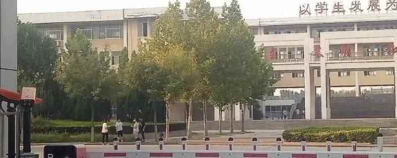 陵城一中教师名单(陵城一中教师名单有赵慢、徐茹静、霸会茹、姜春芮、杨丽蓉、王德)