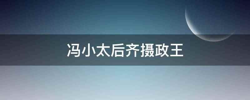 冯小太后齐摄政王(冯小太后齐摄政王是指小说)