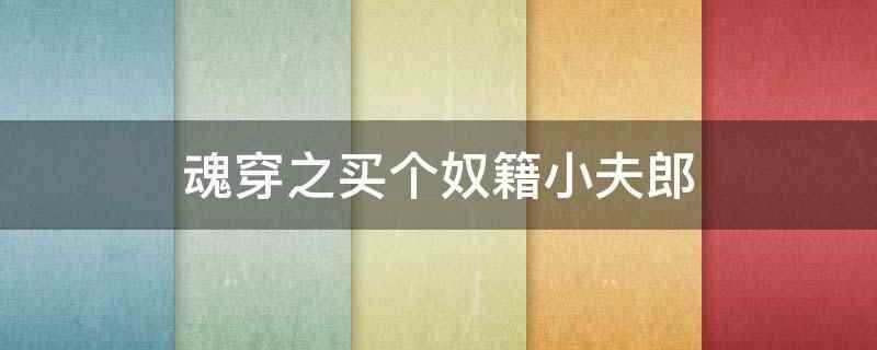 魂穿之买个奴籍小夫郎(魂穿之买个奴籍小夫郎是指小说)