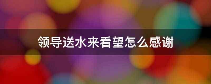 领导送水来看望怎么感谢(感谢领导,在炎炎夏日给大家送来清凉)