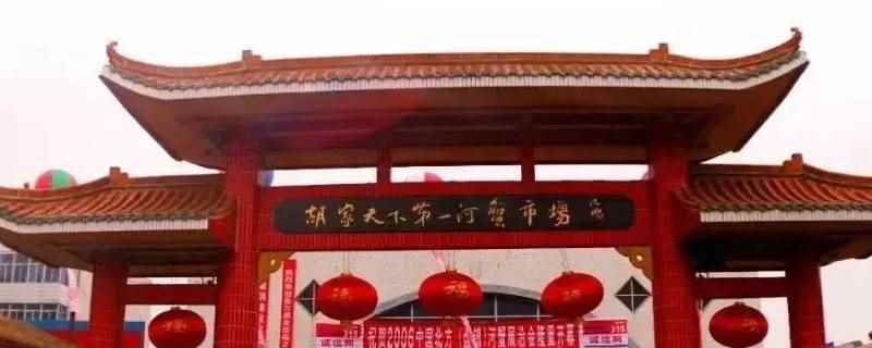 四川隆昌县哪个镇繁华(四川隆昌县胡家镇繁华)