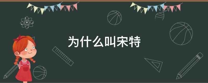 为什么叫宋特(宋特来源于网友写的同人文)