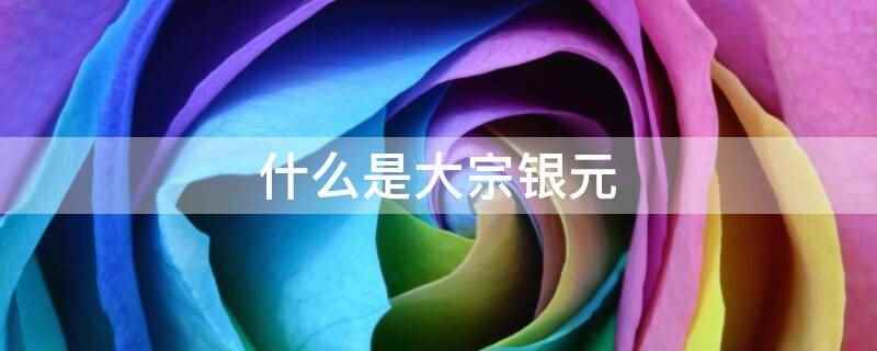 什么是大宗银元（大宗银元指的是大量的银元货币）