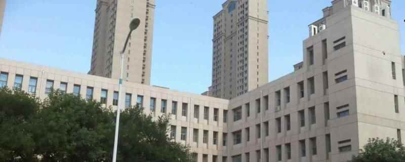 泰达实验学校怎么样升学率（泰达实验学校升学率97）