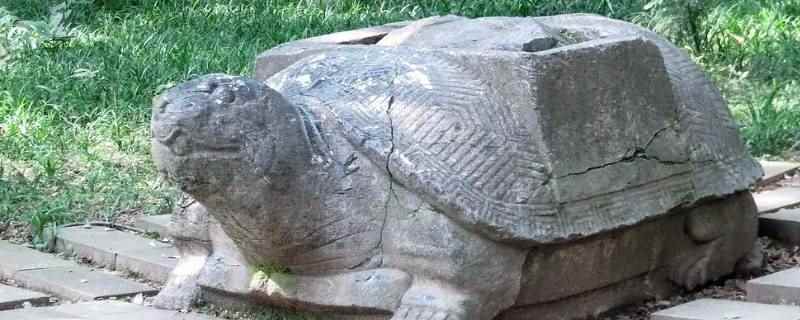 碑座常常雕成什么形状的动物（碑座常常雕成乌龟形状的动物）