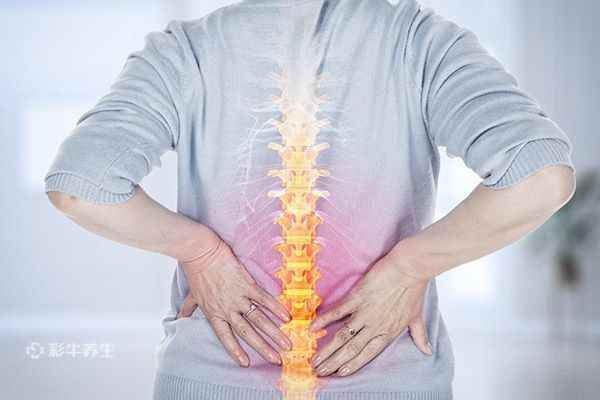 后背疼痛1.jpg 后背疼痛分布图
