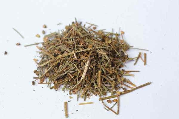 通草副作用有哪些(通草泡水可以每天喝吗)