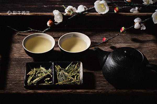 龙井茶2.jpg 凤凰单丛的功效与作用