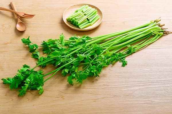 降血压的十种最佳食物