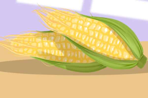 粘玉米的营养价值及功效与作用