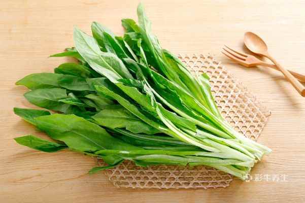油麦菜1.jpg 油麦菜的功效和禁忌