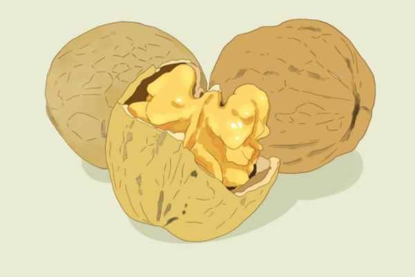 可以生发的食物有哪些