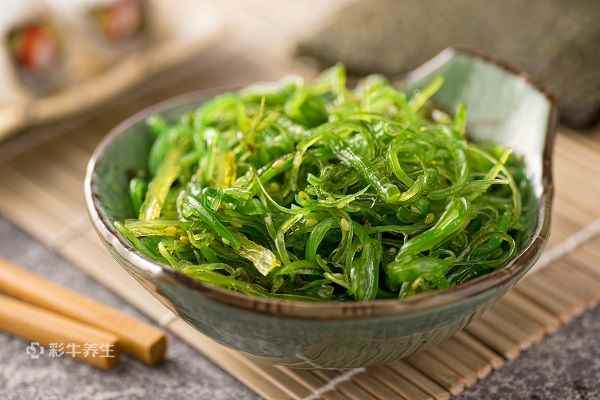 裙带菜3 (2).jpg 海带和裙带菜的区别有哪些