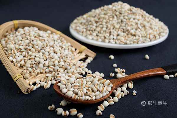 薏米2.jpg 薏米怎么吃除湿效果好