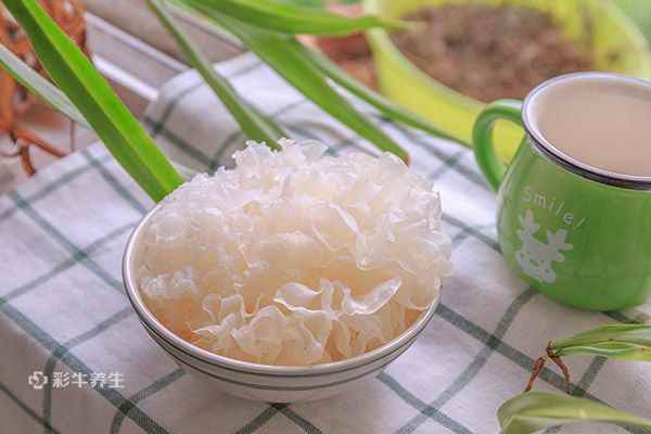 银耳1.jpg 含胶原蛋白的食物有哪些