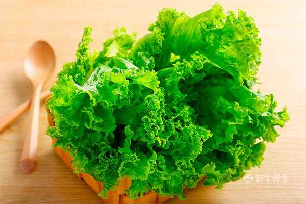 1.jpg 生菜怎么做好吃又简单