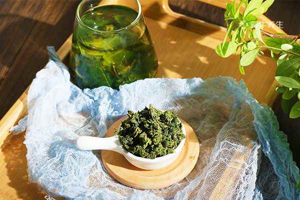桑叶泡水喝3.jpg 喝桑叶茶有什么好处和坏处