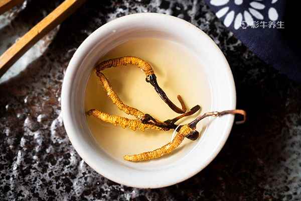 虫草泡水1.jpg 虫草泡酒有什么功效